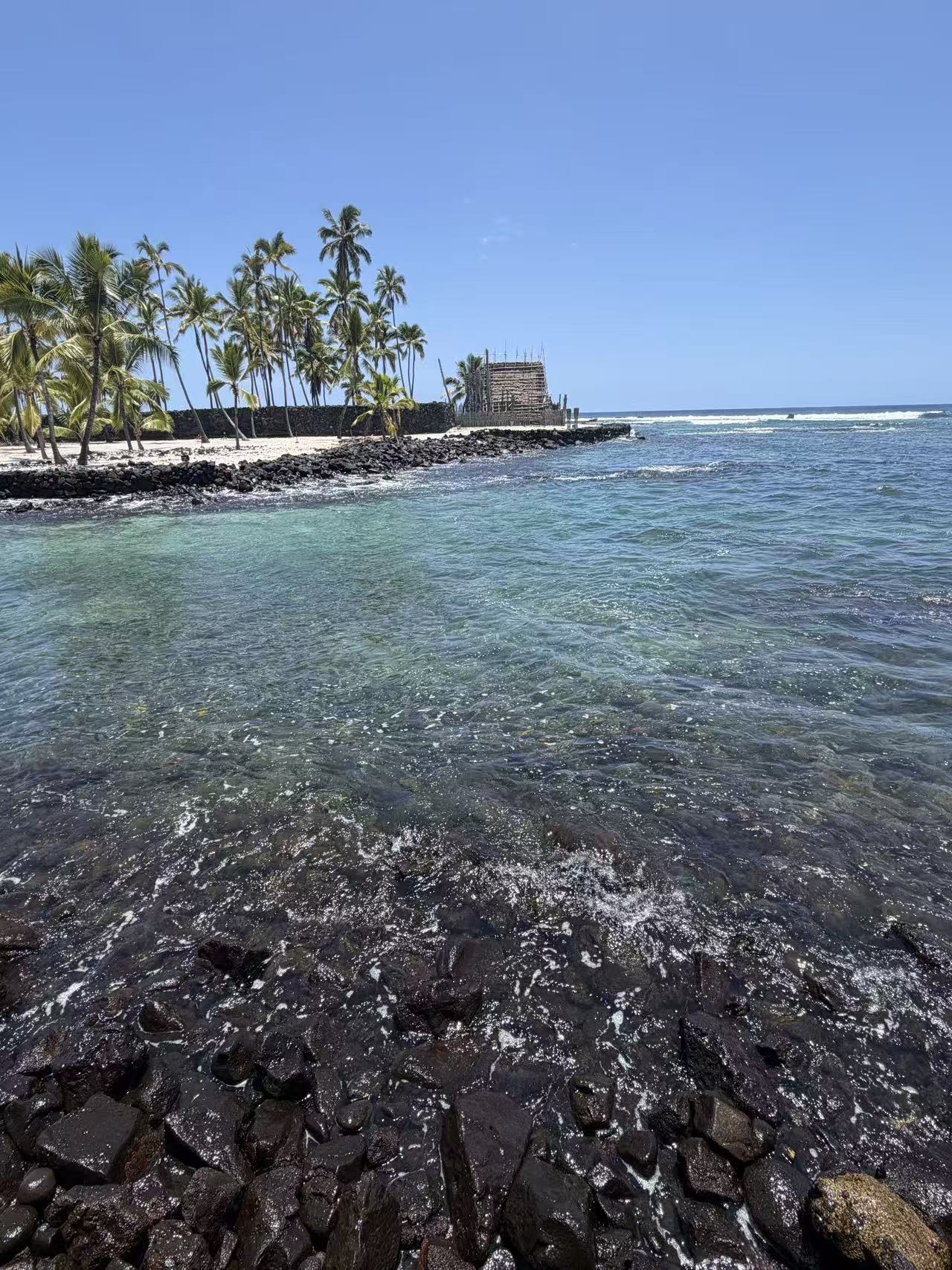Historic fishpond and coconut palms along the shore