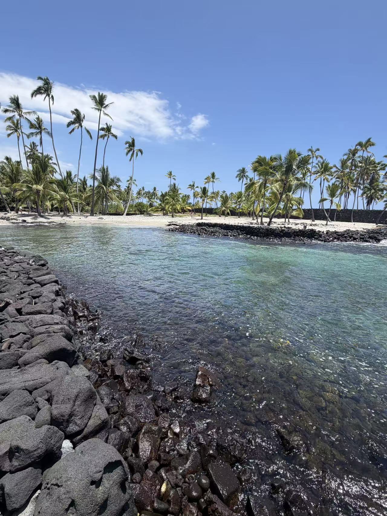 Palm-lined historic park on the Big Island coast