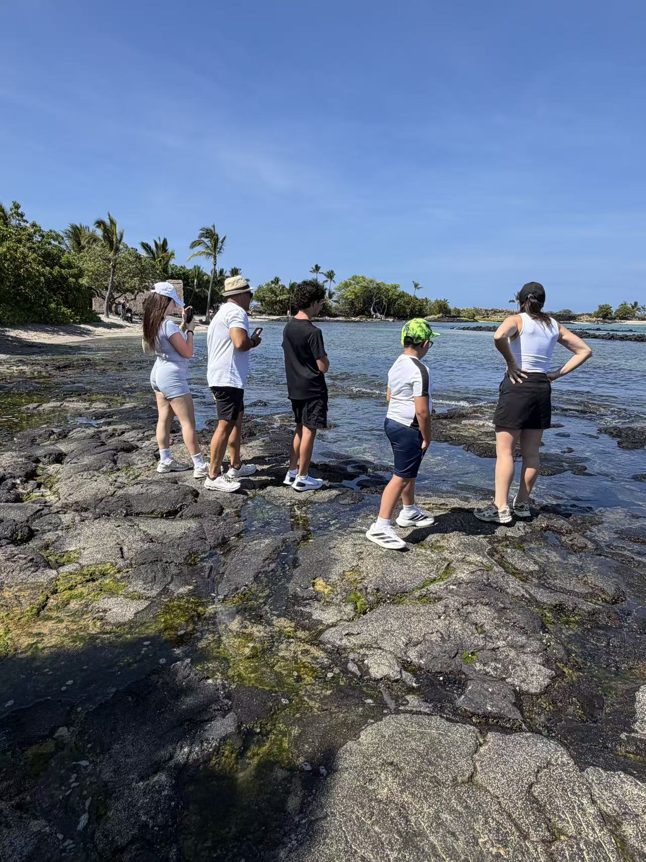 Guests exploring a lava-rock turtle beach