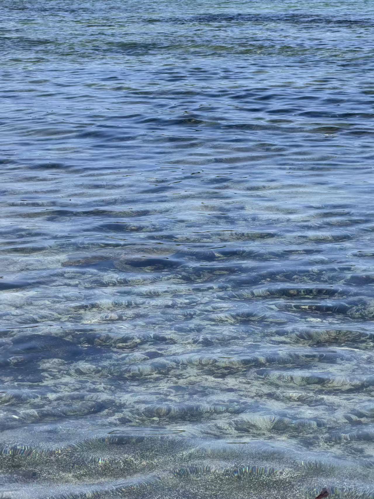 Clear coastal lagoon edged with lava rock