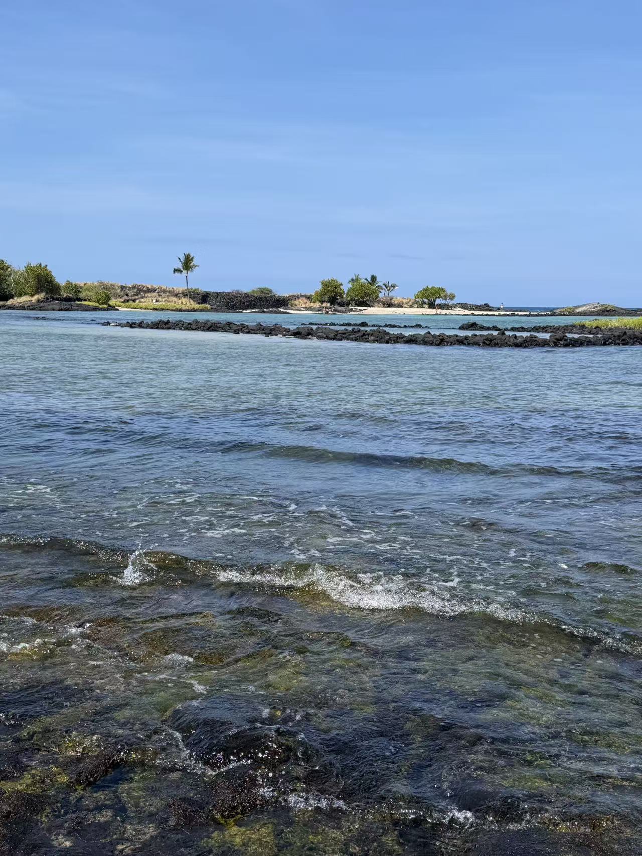 Clear water along the turtle coast