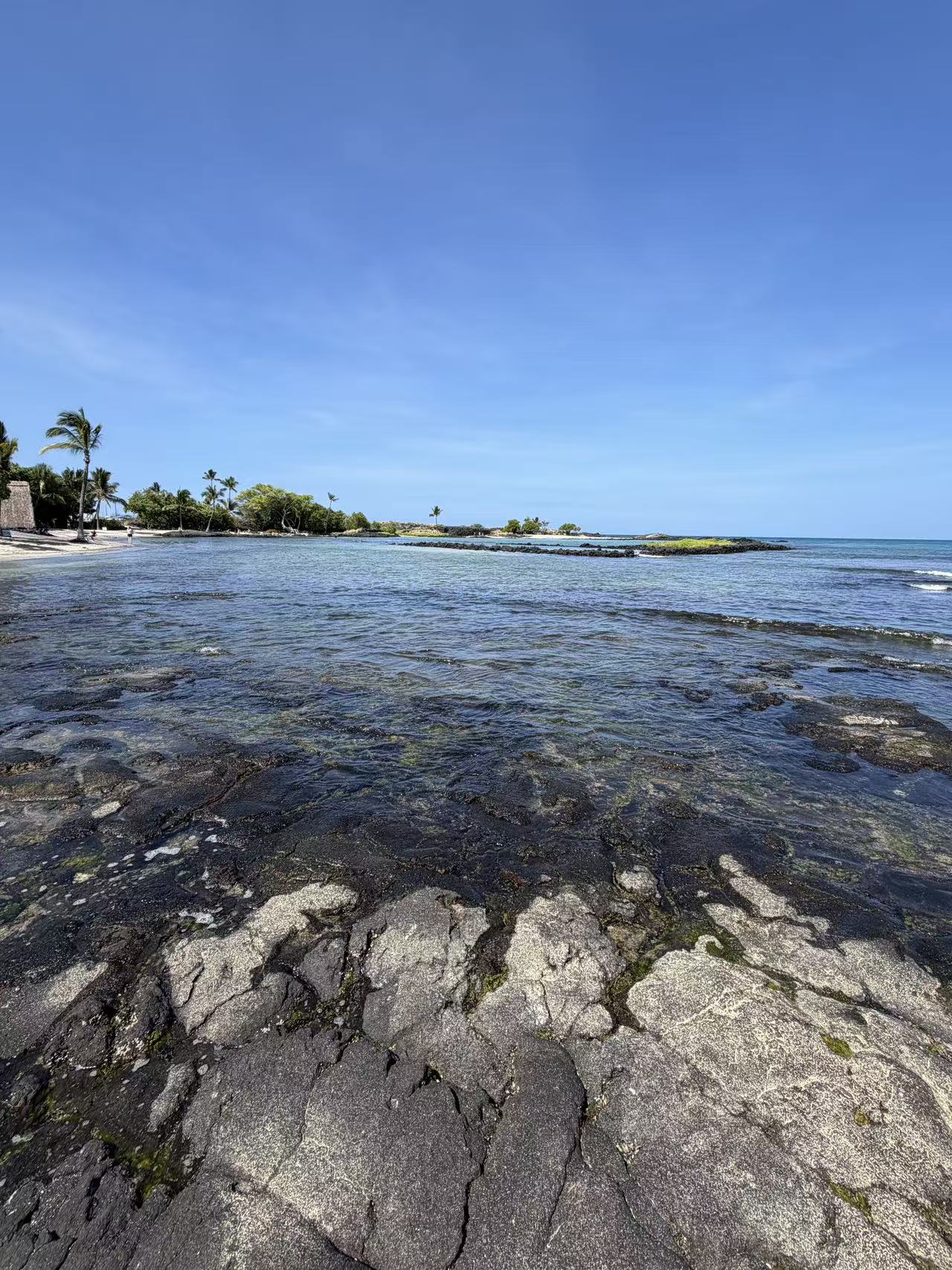 Blue water above a coastal reef